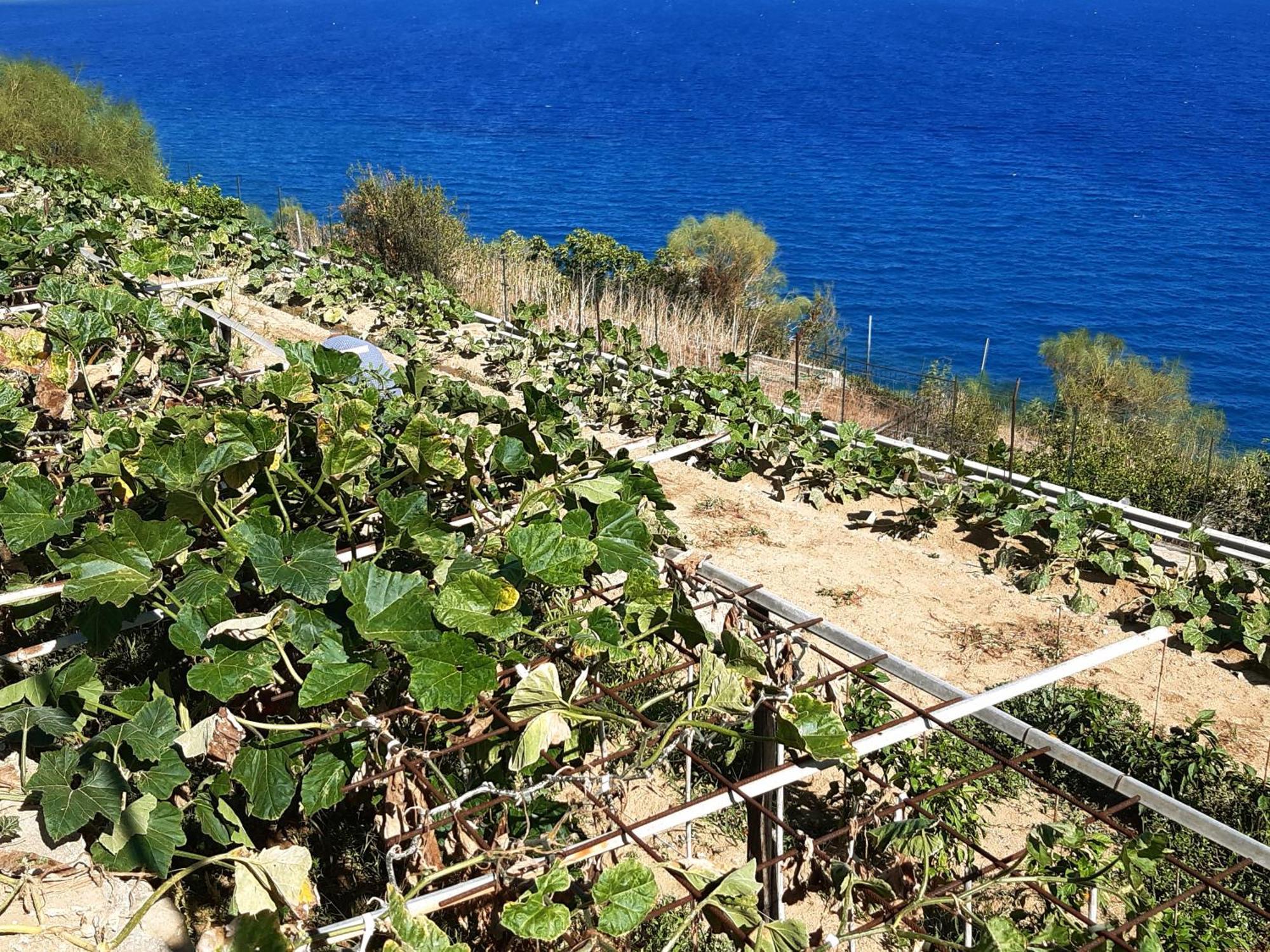 Gli Orti Sul Mare 2 Vista Mare Apartman Bordighera Kültér fotó